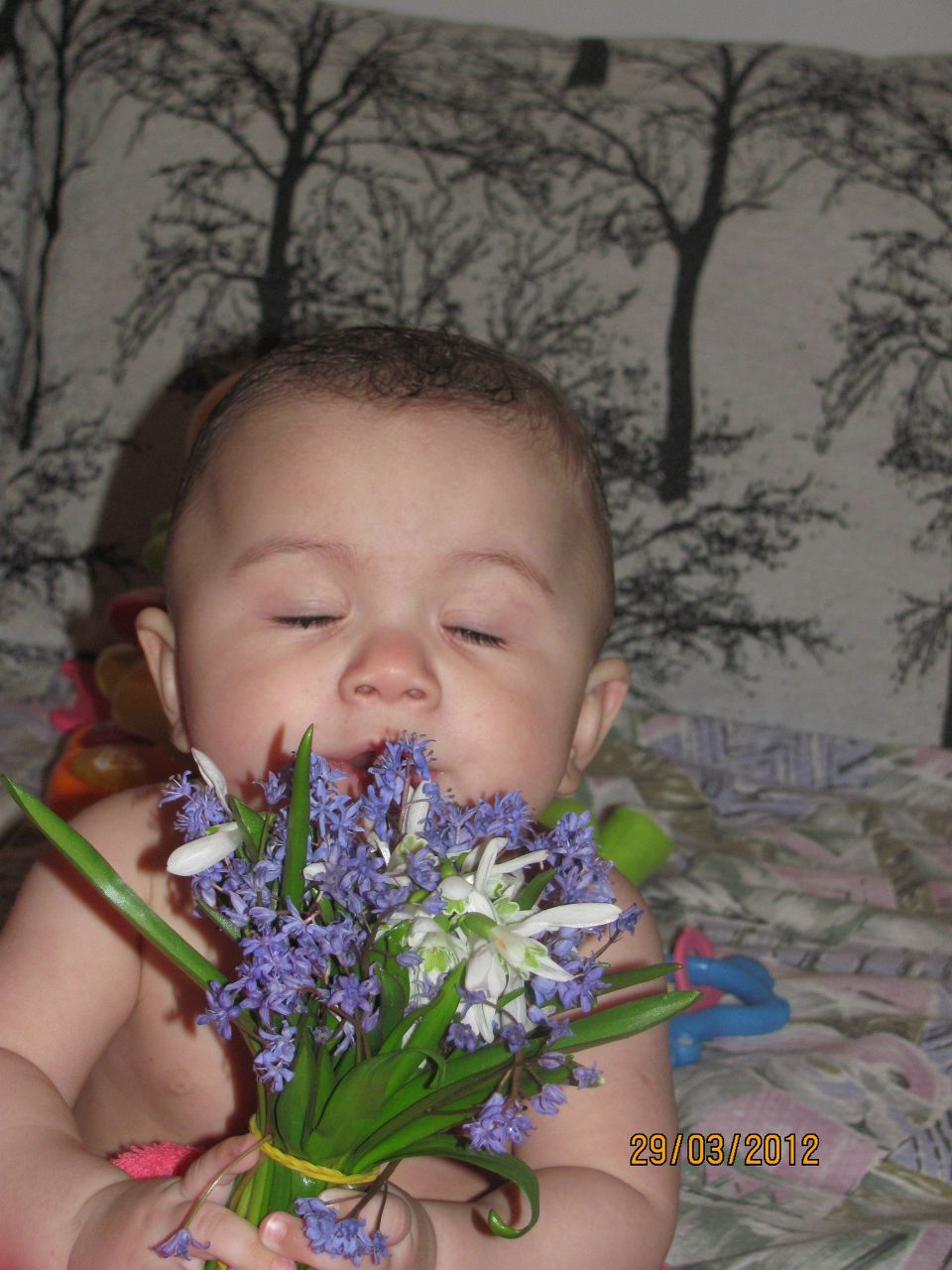 Володимир Баліцький | Тернополь