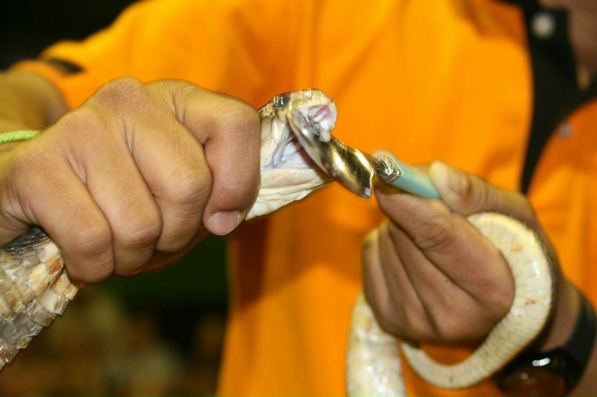 Элина Подъяблонская | Москва