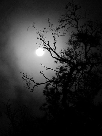 №1, Александра Бородина №1, Александра Бородина