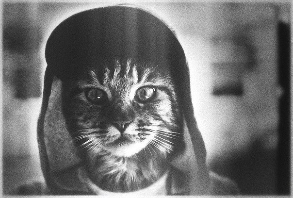 Валик Самосвалик | Минск