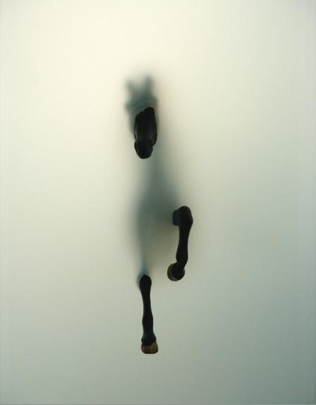 Kate Plotnikova | Москва