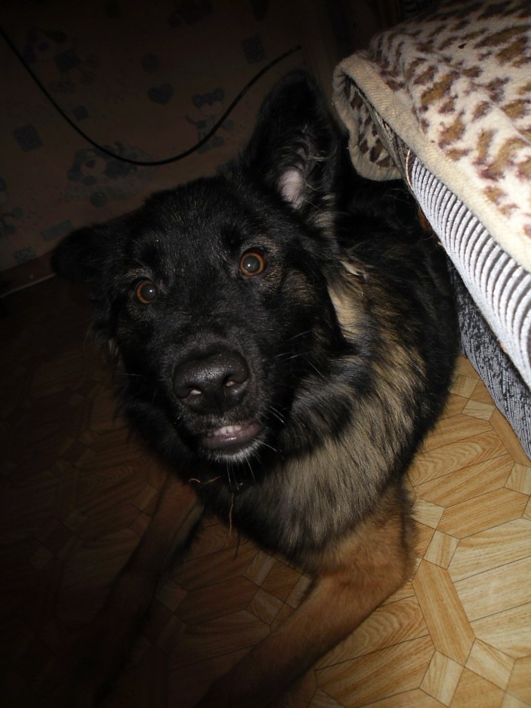 Александр Болдырев Сергеевич | 