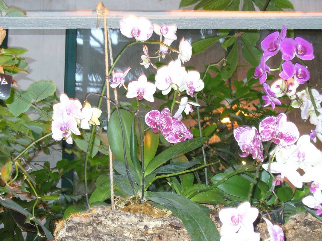 Татьяна Голубева | Москва