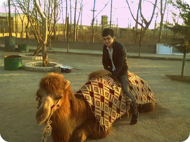 Раша Гасанлы | Баку