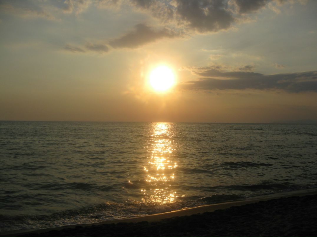 Наташа Вишневская | Черновцы