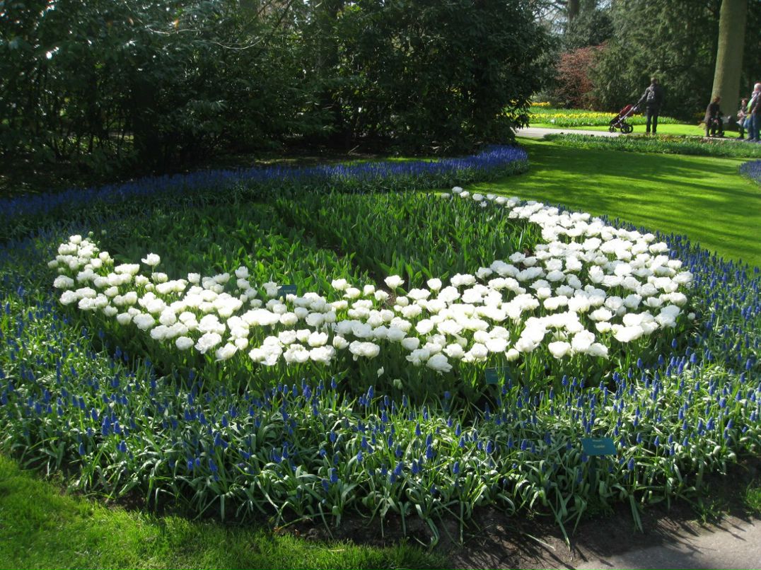 Полина Павлова | 