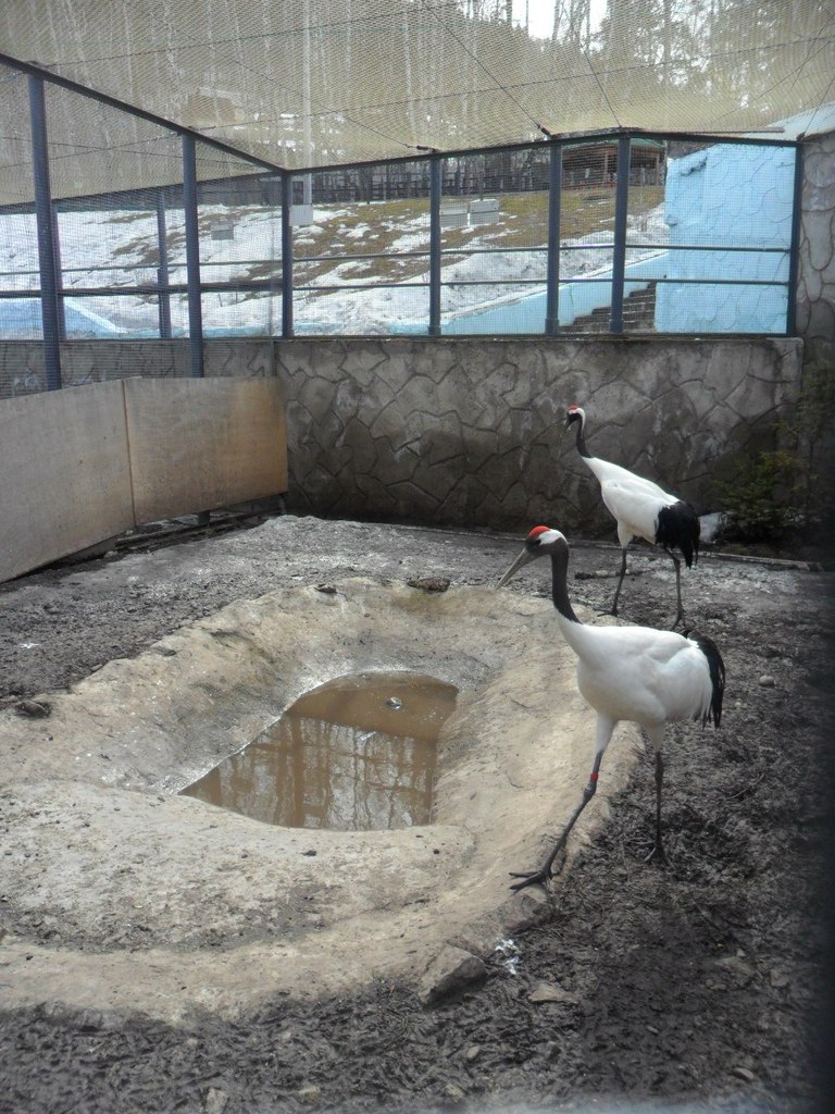 Елена Астафьева | Красноярск