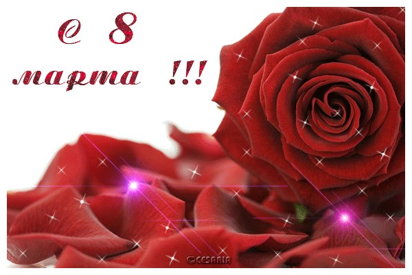 Гена Лесовой / SZCZUR / | Санкт-Петербург