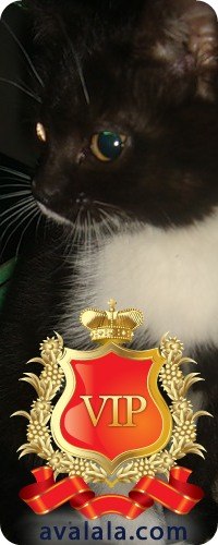 Владимир Клименко Сергеевич | Москва