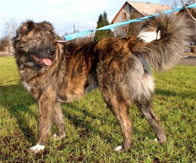 Николай Исаев | Таганрог