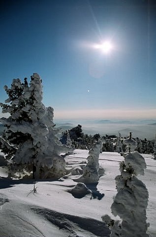 Федор Купряков -=Joy=- | Красноярск