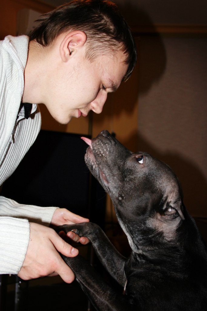 Вячеслав Табаков | Воронеж