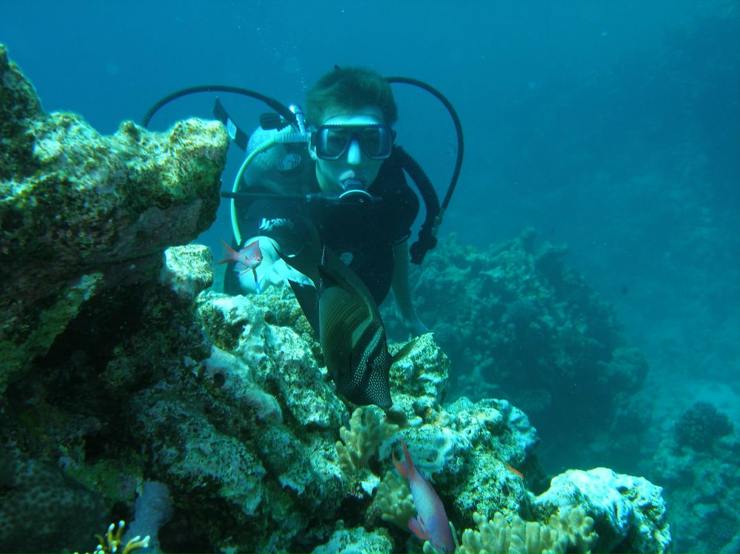 Дмитрий Пономарев | Белгород