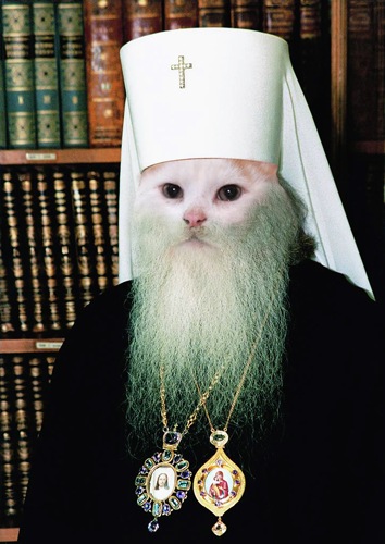 Роман Никитин, Самара, Россия, место жительства, аккаунт ВКонтакте