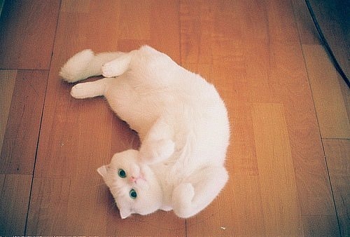 №103, Анюта Полянская, Харьков №103, Анюта Полянская, Харьков