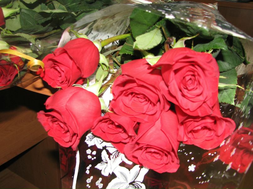 Артем Лазарев | Москва