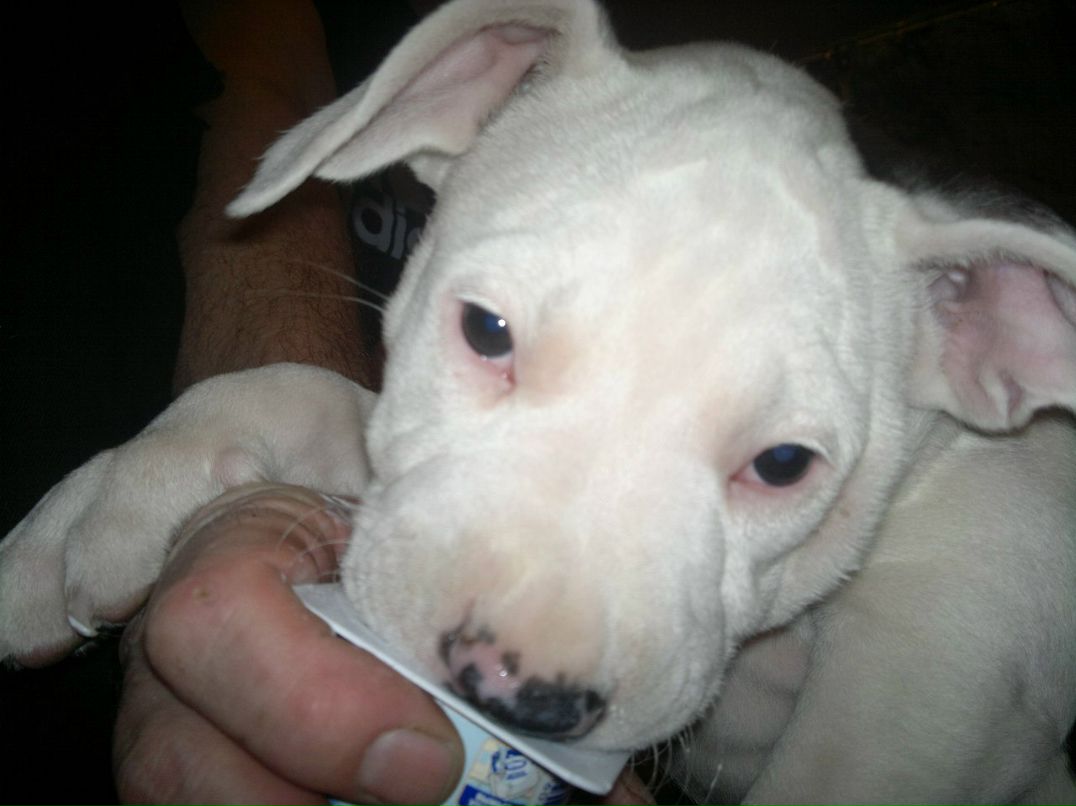 Наталья Терентьева | Санкт-Петербург