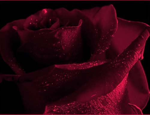 Oleg Sevastianov PRESTIGEWHEELS | Санкт-Петербург