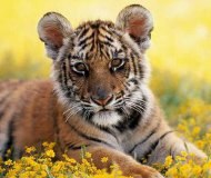 Андрей Буланкин | Казань