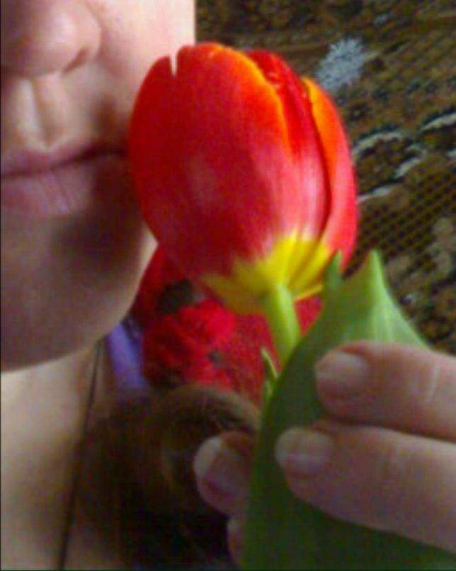 Таня Писанка | Бар