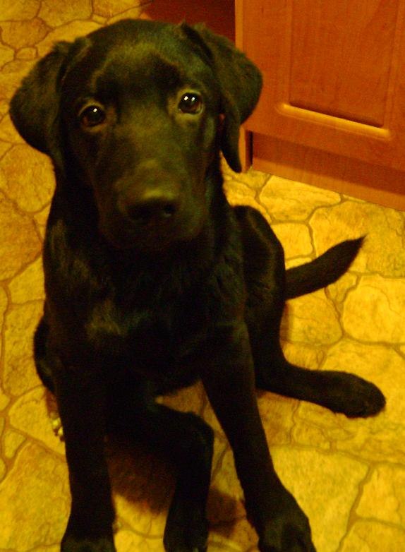 Паша Роскин | Мурманск