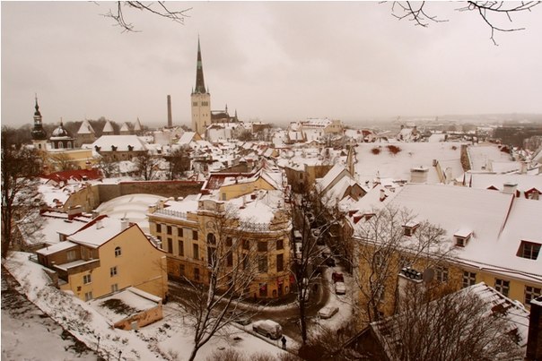 Дарья Дымович | Минск
