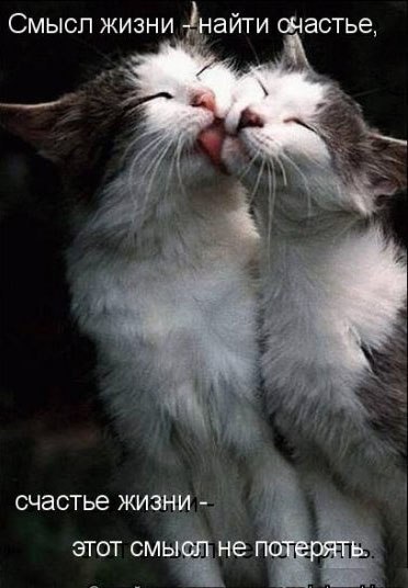 Алиска Зилотина (((= Редиска =))) | Жуковский