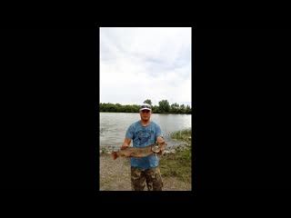 На пару часиков на р. Обь.