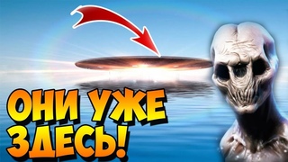Они у Нас Под Носом Только Мы Не Их Не Замечаем!