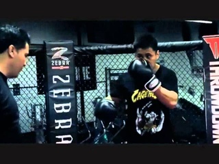 Cung Le Tribute