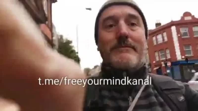 Видео от Stella