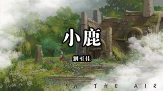 小鹿『我是一隻迷了路的小鹿 轉到夜裡亂了我的腳步』【動態歌詞】