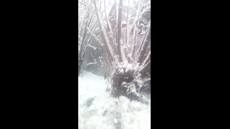 VID 3. 20201121 БУБЛИК В П