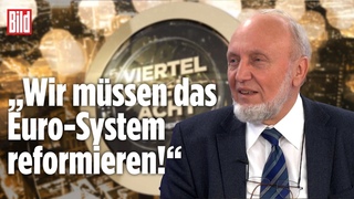 Wird der Euro zu einer Schrottwhrung | Hans-Werner Sinn | Viertel nach Acht