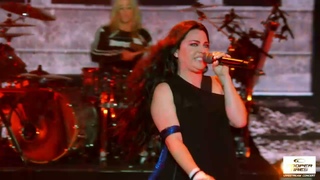 Evanescence - Take Cover (Live)