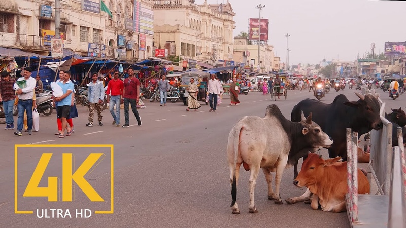 Everyday Life of Puri 4 K Travel Film Incredible India Cities of the
