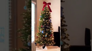 Funny Cats Memes #18 Xmas #Shorts