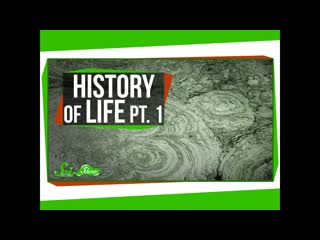 A Brief History of Life: Survival Is Hard