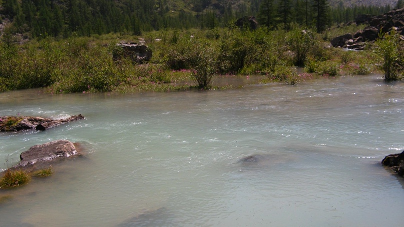 Анастасия Афанасьева | Екатеринбург