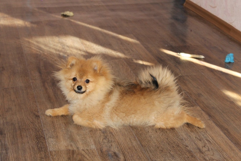 Ольга Осинцева | Железногорск