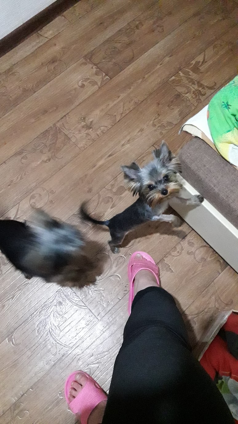 Ирина Щёкотова | Новочебоксарск