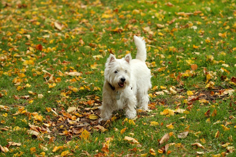 Танюшка Гавриленко | Калининград