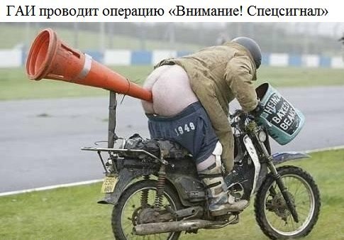 Катюша Соколова | Вологда