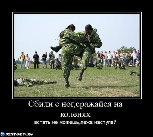 Светлана Зайцева | Киев