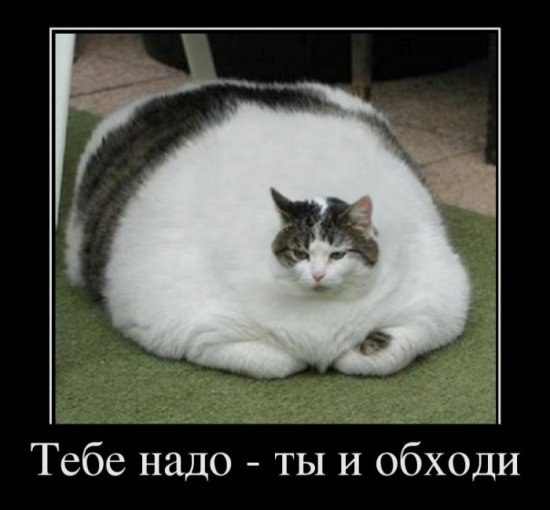 Дарья Сметанина | Вологда