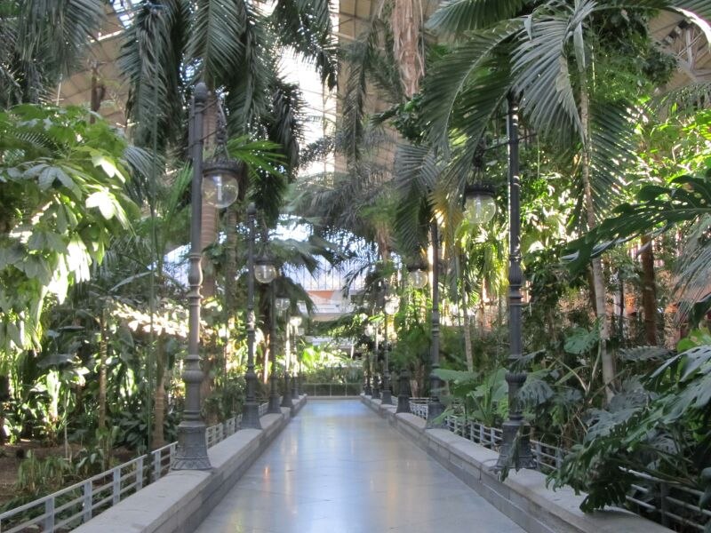 Татьяна Кольцова | Санкт-Петербург