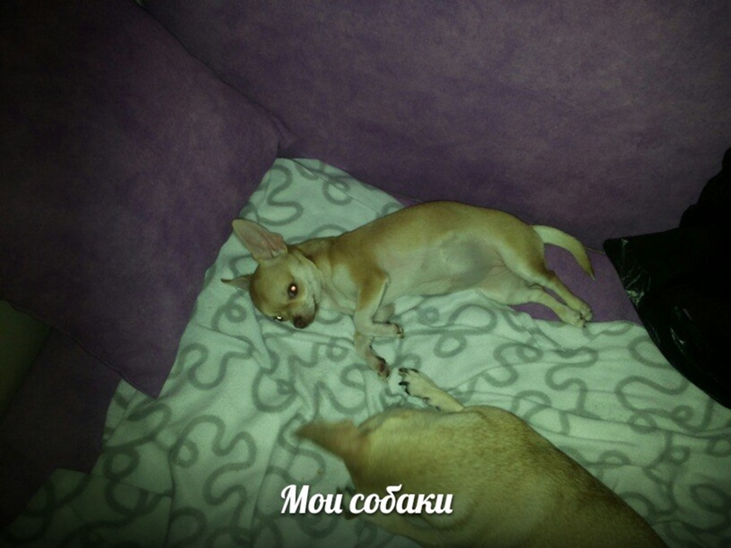 Ярослав Марченко | Челябинск