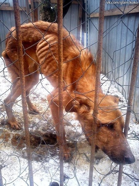 Михаил Кольцов алексеевич | Санкт-Петербург