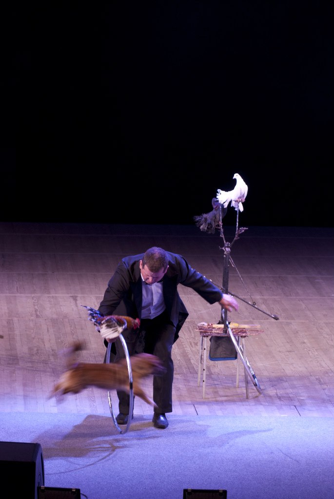 Виктор Гоголь | Тирасполь