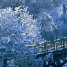 Татьяна Любимова | Медвежьегорск